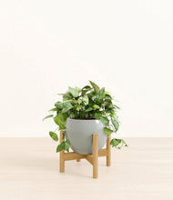 Load image into Gallery viewer, Deep Ocean stand:bamboo