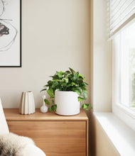 Load image into Gallery viewer, White