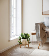 Load image into Gallery viewer, Shiny EggWhite stand:bamboo