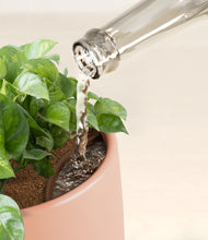 Load image into Gallery viewer, Calm Rose stand:all