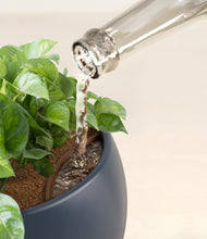 Load image into Gallery viewer, Deep Navy stand:all