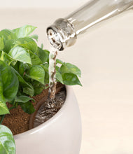 Load image into Gallery viewer, Winter Clouds stand:all