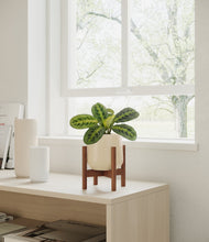 Lade das Bild in den Galerie-Viewer, Almond Green stand:walnut