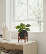 Lade das Bild in den Galerie-Viewer, Black stand:walnut