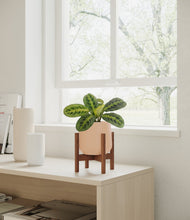 Lade das Bild in den Galerie-Viewer, Gentle Pink stand:walnut