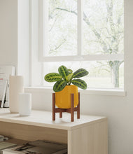 Lade das Bild in den Galerie-Viewer, Mustard stand:walnut