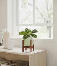 Lade das Bild in den Galerie-Viewer, Turquoise stand:walnut