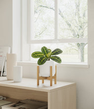 Lade das Bild in den Galerie-Viewer, White stand:bamboo