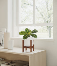 Lade das Bild in den Galerie-Viewer, White stand:walnut