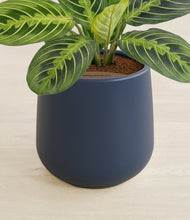 Lade das Bild in den Galerie-Viewer, Twilight Blue stand:all