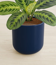 Lade das Bild in den Galerie-Viewer, Twilight Blue stand:all