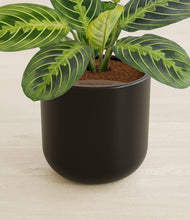 Lade das Bild in den Galerie-Viewer, Stone Black stand:all