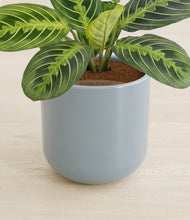 Lade das Bild in den Galerie-Viewer, Misty Blue stand:all