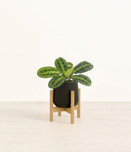 Lade das Bild in den Galerie-Viewer, Black stand:bamboo
