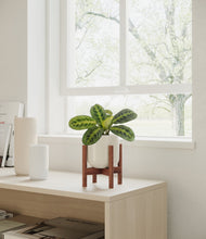 Lade das Bild in den Galerie-Viewer, Cotton White stand:bamboo