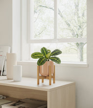 Lade das Bild in den Galerie-Viewer, Glossy Pink stand:bamboo