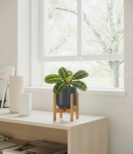 Lade das Bild in den Galerie-Viewer, Iron Gray stand:bamboo