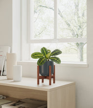 Lade das Bild in den Galerie-Viewer, Iron Gray stand:walnut