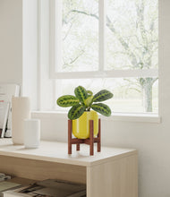 Lade das Bild in den Galerie-Viewer, Key Lime Yellow stand:walnut