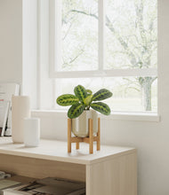 Lade das Bild in den Galerie-Viewer, Sage Green stand:bamboo