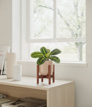 Lade das Bild in den Galerie-Viewer, Sandy Pink stand:walnut