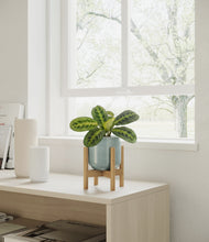 Lade das Bild in den Galerie-Viewer, Reactive Aqua stand:bamboo