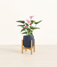 Lade das Bild in den Galerie-Viewer, Deep Navy stand:bamboo