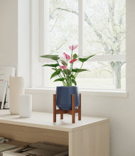 Lade das Bild in den Galerie-Viewer, Deep Navy stand:walnut