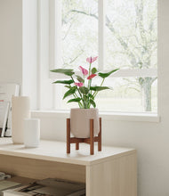 Lade das Bild in den Galerie-Viewer, Eternal Gray stand:walnut