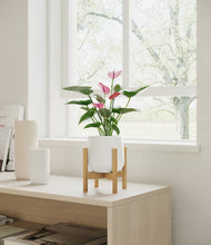 Lade das Bild in den Galerie-Viewer, White stand:bamboo
