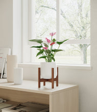 Lade das Bild in den Galerie-Viewer, White stand:walnut