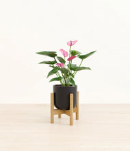 Lade das Bild in den Galerie-Viewer, Stone Black stand:bamboo