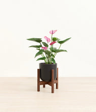 Lade das Bild in den Galerie-Viewer, Stone Black stand:walnut
