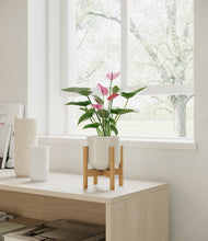 Lade das Bild in den Galerie-Viewer, Cotton White stand:bamboo