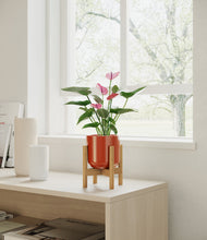 Lade das Bild in den Galerie-Viewer, Glossy Red stand:bamboo