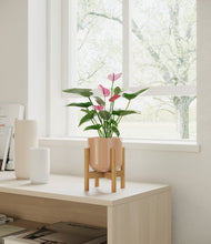 Lade das Bild in den Galerie-Viewer, Glossy Pink stand:bamboo