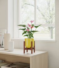 Lade das Bild in den Galerie-Viewer, Key Lime Yellow stand:walnut