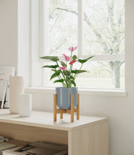Lade das Bild in den Galerie-Viewer, Misty Blue stand:bamboo