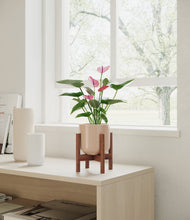 Lade das Bild in den Galerie-Viewer, Sandy Pink stand:walnut
