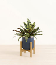 Load image into Gallery viewer, Deep Navy stand:bamboo