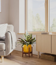 Load image into Gallery viewer, Mustard stand:walnut