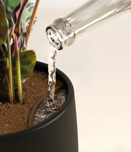 Load image into Gallery viewer, Black stand:all