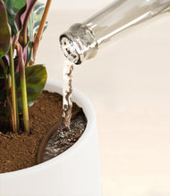 Load image into Gallery viewer, White stand:all