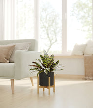 Load image into Gallery viewer, Black stand:bamboo