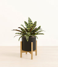 Load image into Gallery viewer, Black stand:bamboo