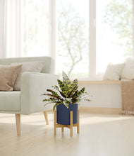 Load image into Gallery viewer, Deep Navy stand:bamboo