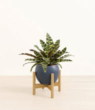 Load image into Gallery viewer, Deep Navy stand:bamboo