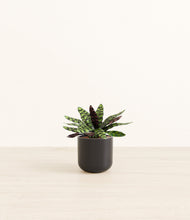 Load image into Gallery viewer, Stone Black*****Profile