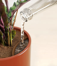 Load image into Gallery viewer, Glossy Red stand:all