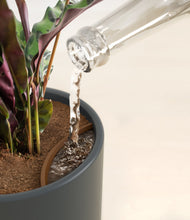 Load image into Gallery viewer, Iron Gray stand:all